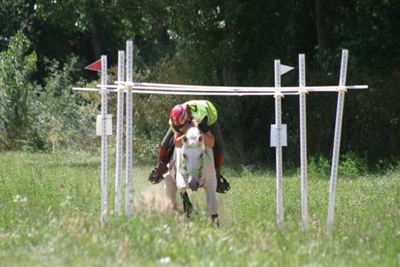 Clinic de Trec en el Club H&iacute;pico Zolina los pr&oacute;ximos d&iacute;as 5 y 6 de diciembre